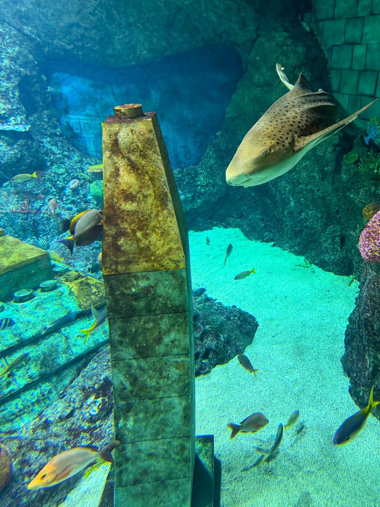 Submarine Adventure in Legoland Japan