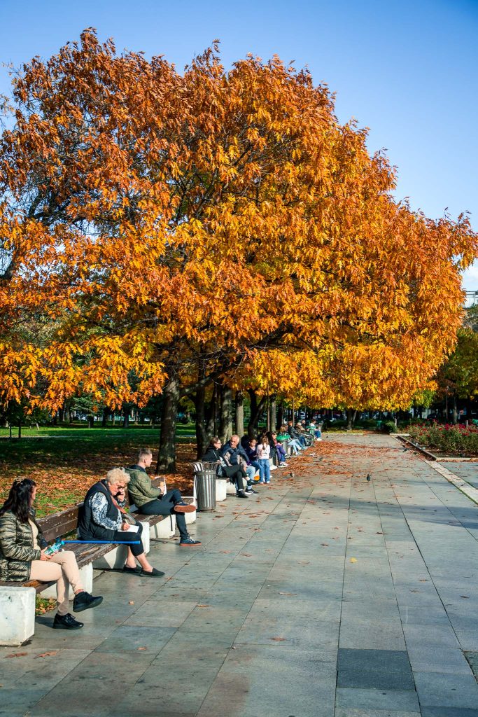 Herfst in Sofia