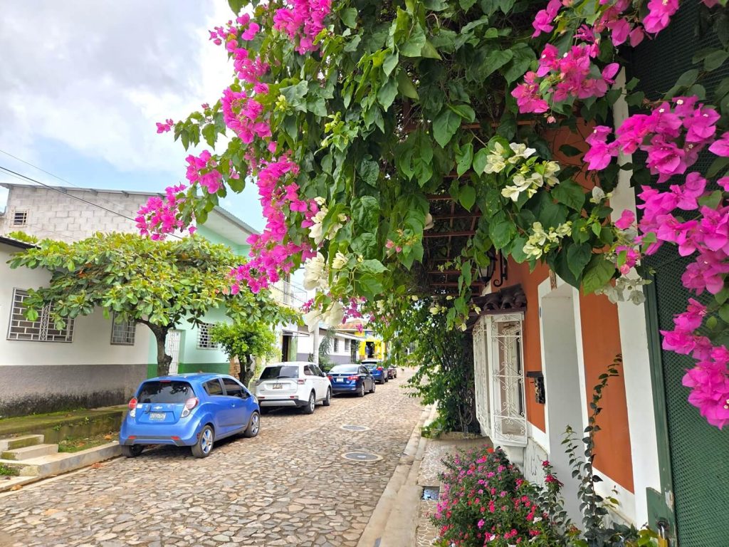 In deze reisgids vind je alle informatie voor je bezoek aan de ruta de las flores in el salvador