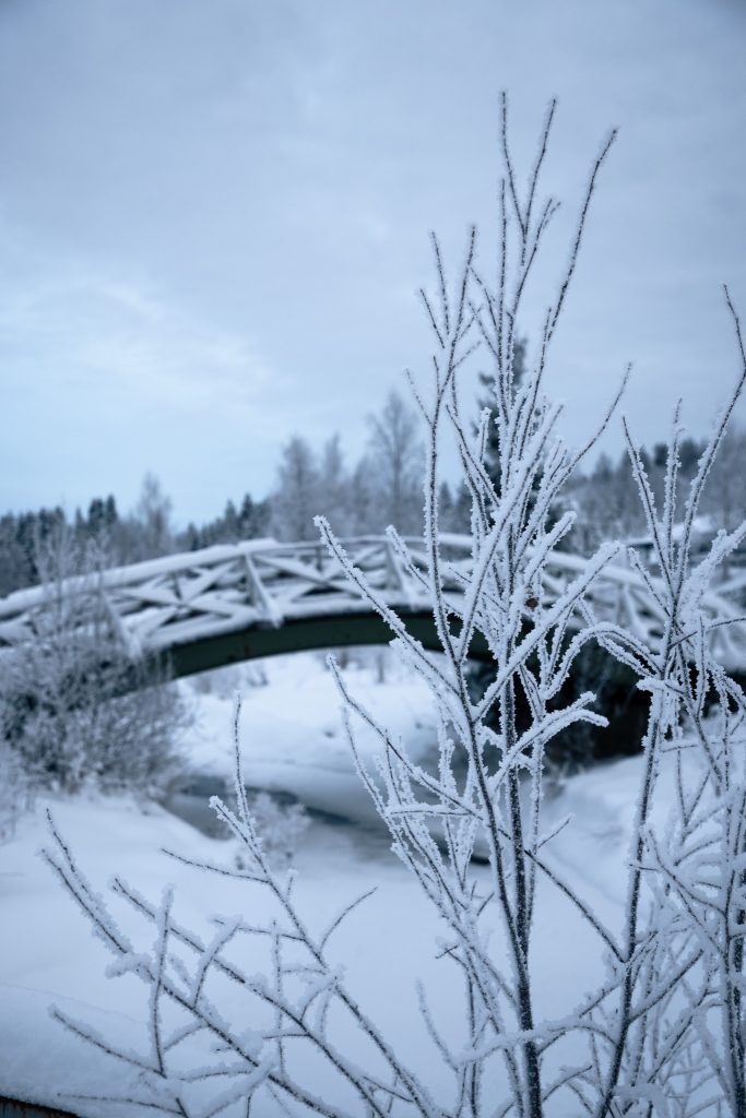 Winterse wereld in Paljakka