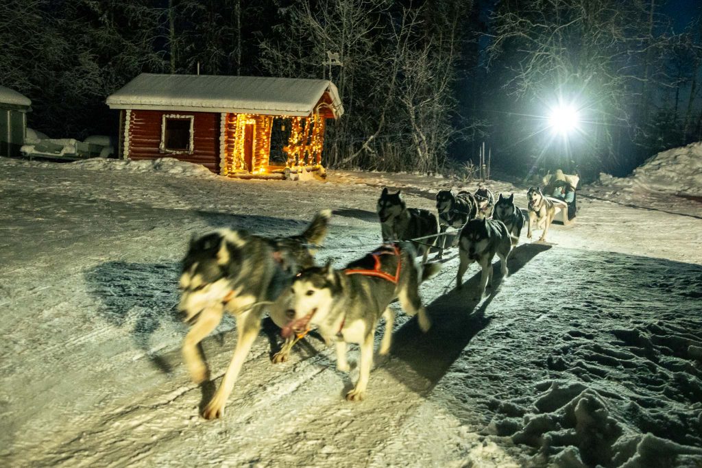 Huskytocht in het donker in Finland