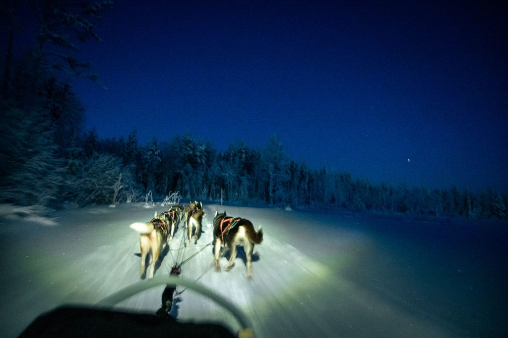 Huskytocht in het donker bij Paljakka
