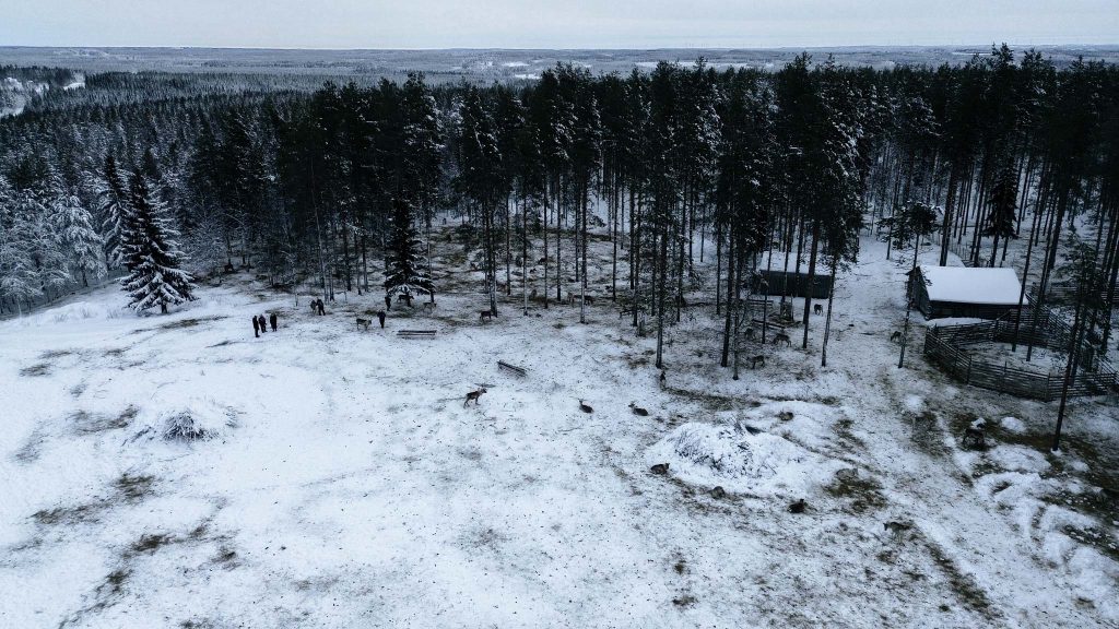 Drone foto rendierboerderij Poroparoni