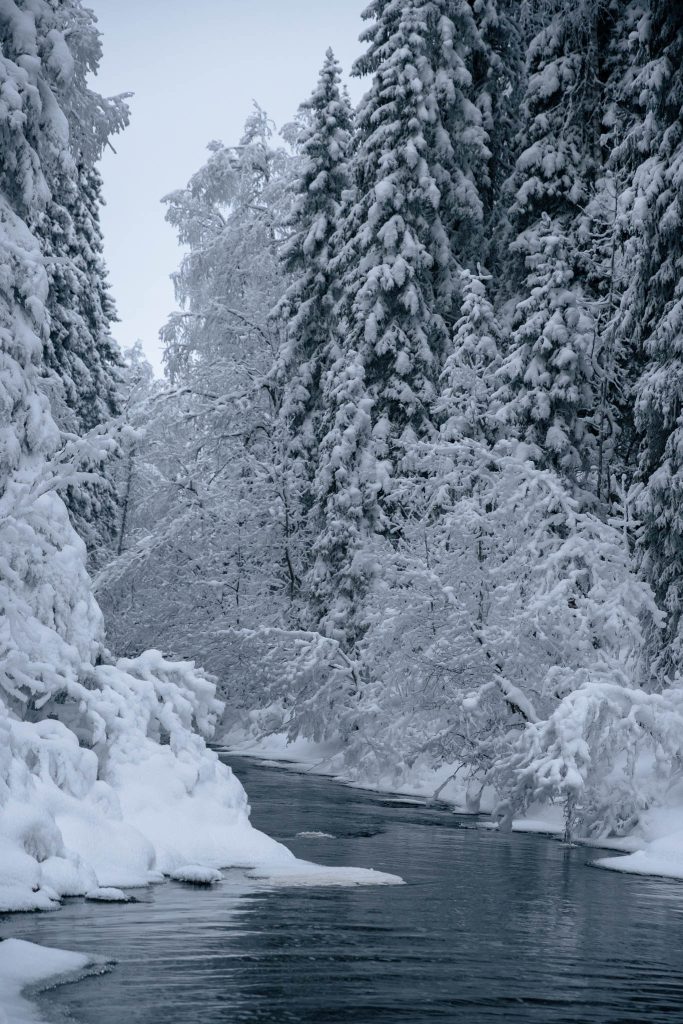 Sprookjesachtig rondom de Hepoköngäs waterval