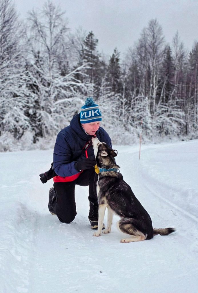 Lieve huskies in Finland