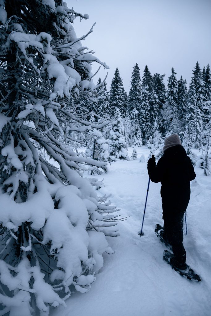 Snowshoe hike Arctic Nest
