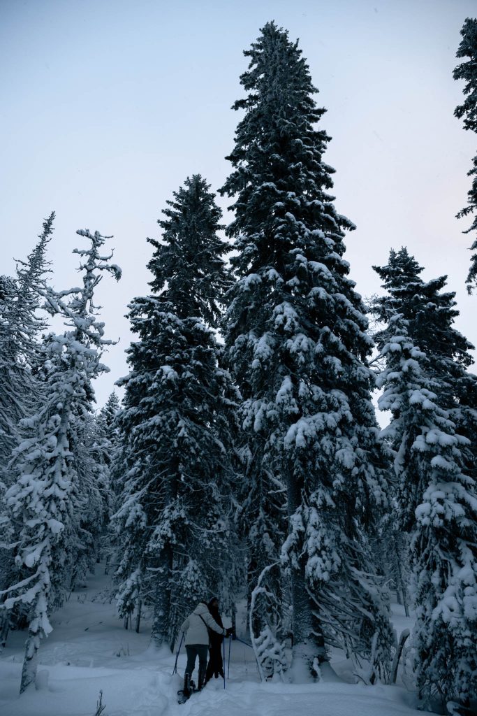 Snowshoe hike Arctic Nest