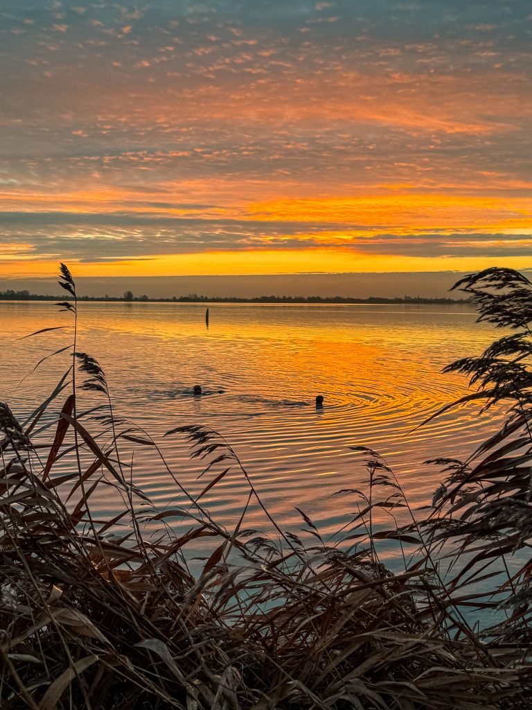 Zonsopgang bij de Reeuwijkse Plassen