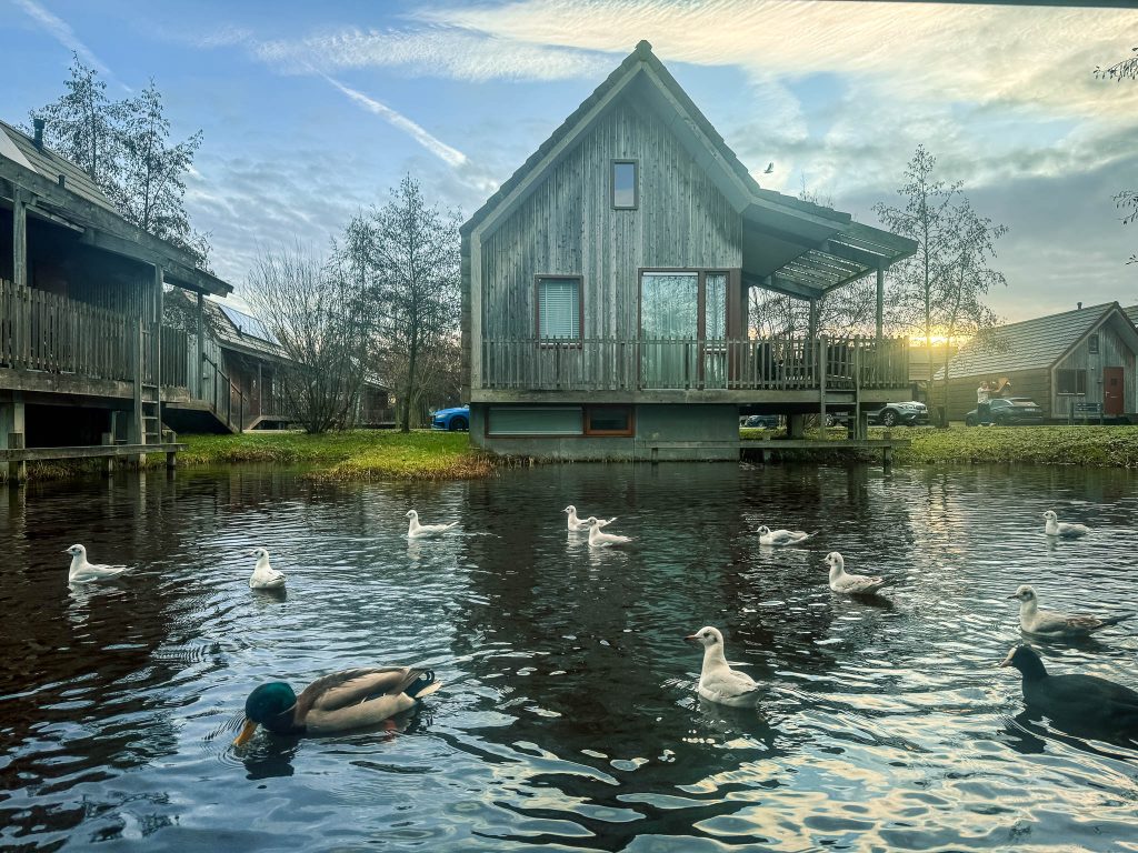 Landal Reeuwijkse Plassen waterwoning vanuit de slaapkamer eendjes