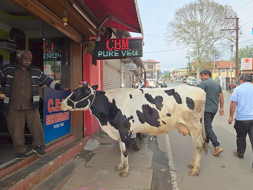 Vegetarische restaurants zie je overal in India