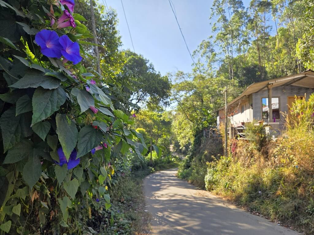 De natuur is weelderig begroeid in India