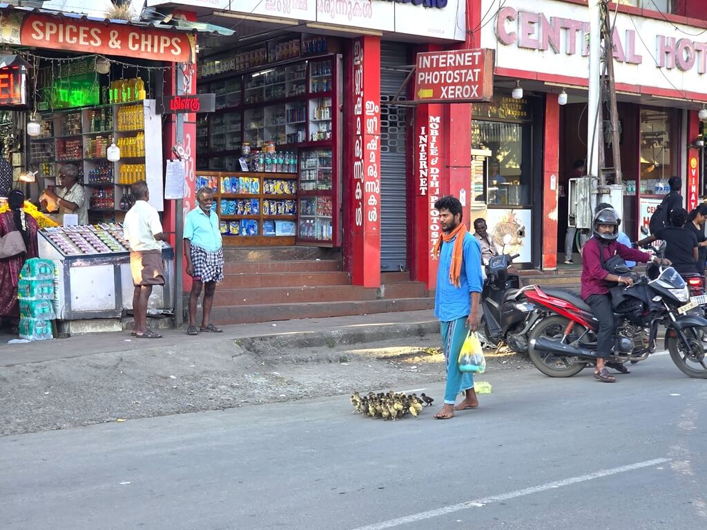 In Thekkady zie je de gekste dingen op straat
