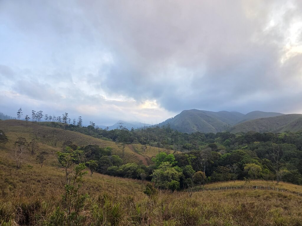 De uitzichten rondom Thekkady kun je het beste vroeg in de ochtend bezoeken