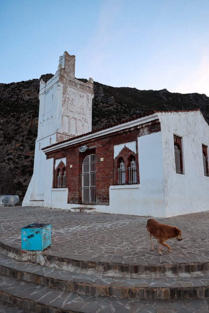 De Spaanse moskee met zwerfhond