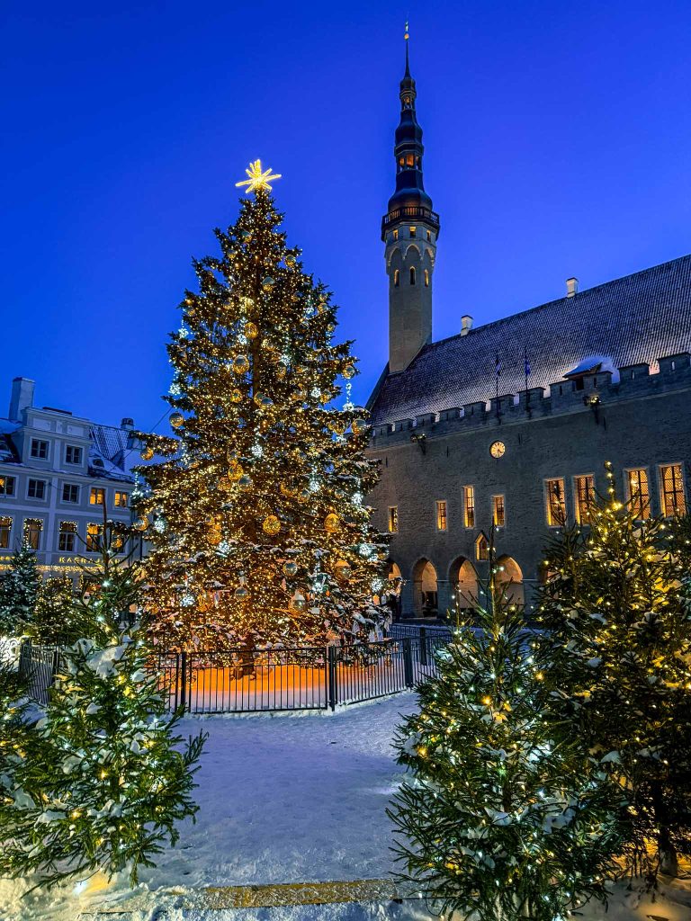 Stadhuisplein in Tallinn tijdens fietstour