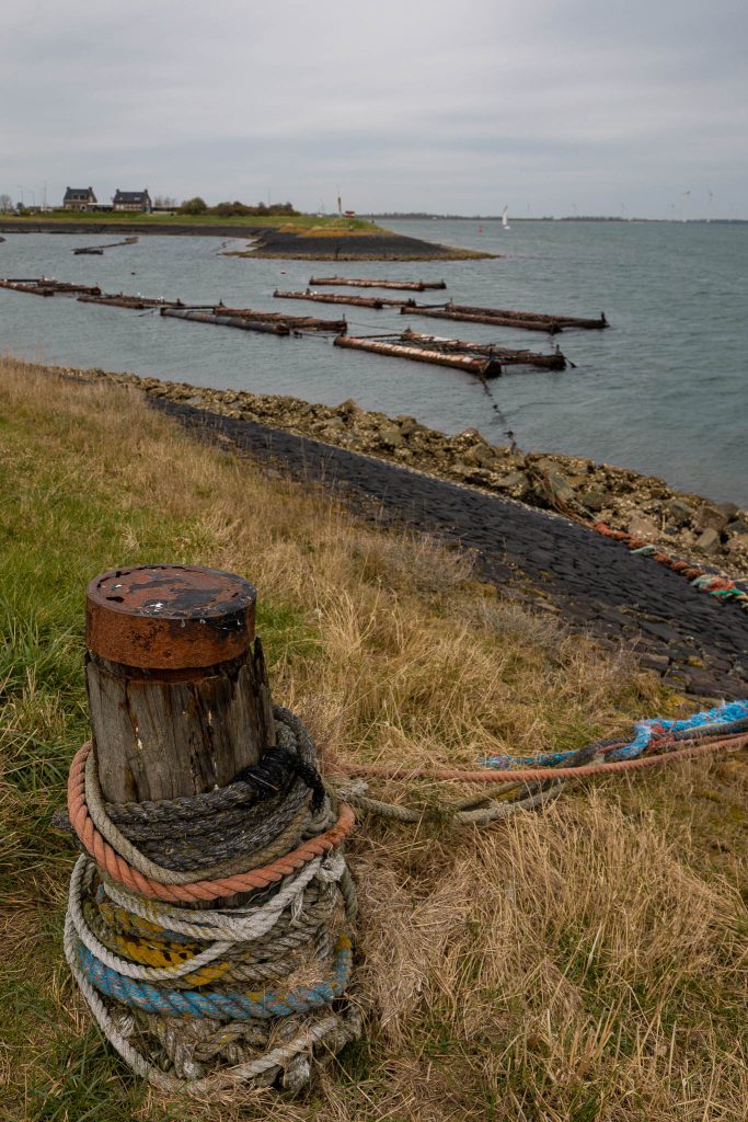 Fietsen langs de Oosterschelde Schouwen-Duiveland