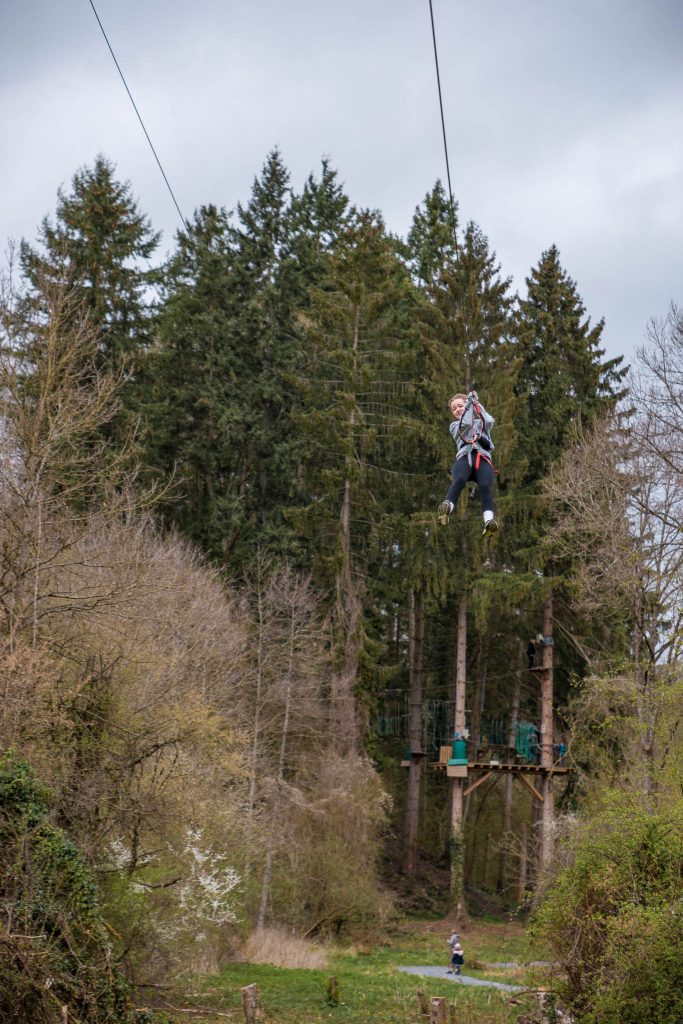 Tree experience grotten van Han