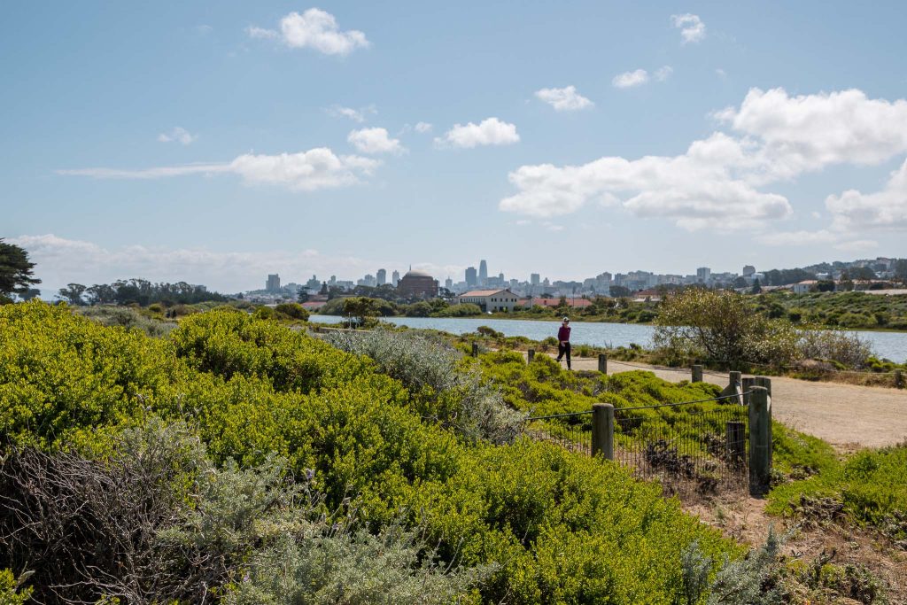 Crissy Field San Francisco