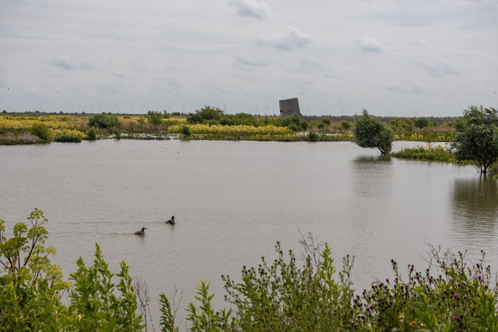 Meer vol vogels