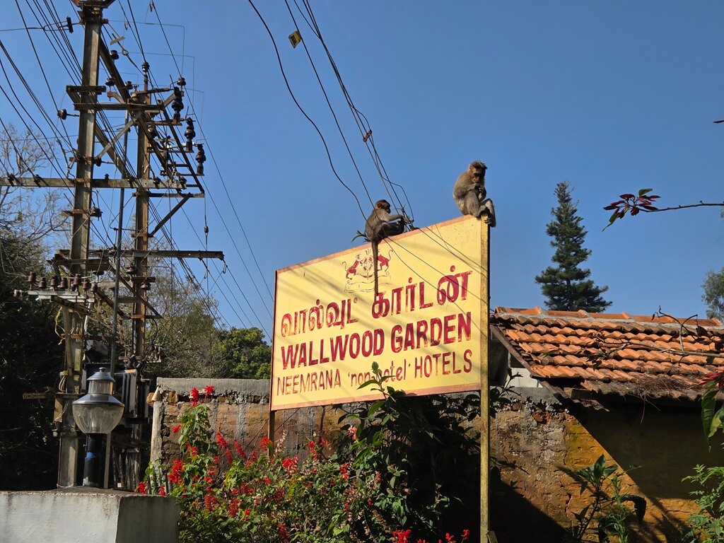 Je kunt het beste verblijven in Coonoor