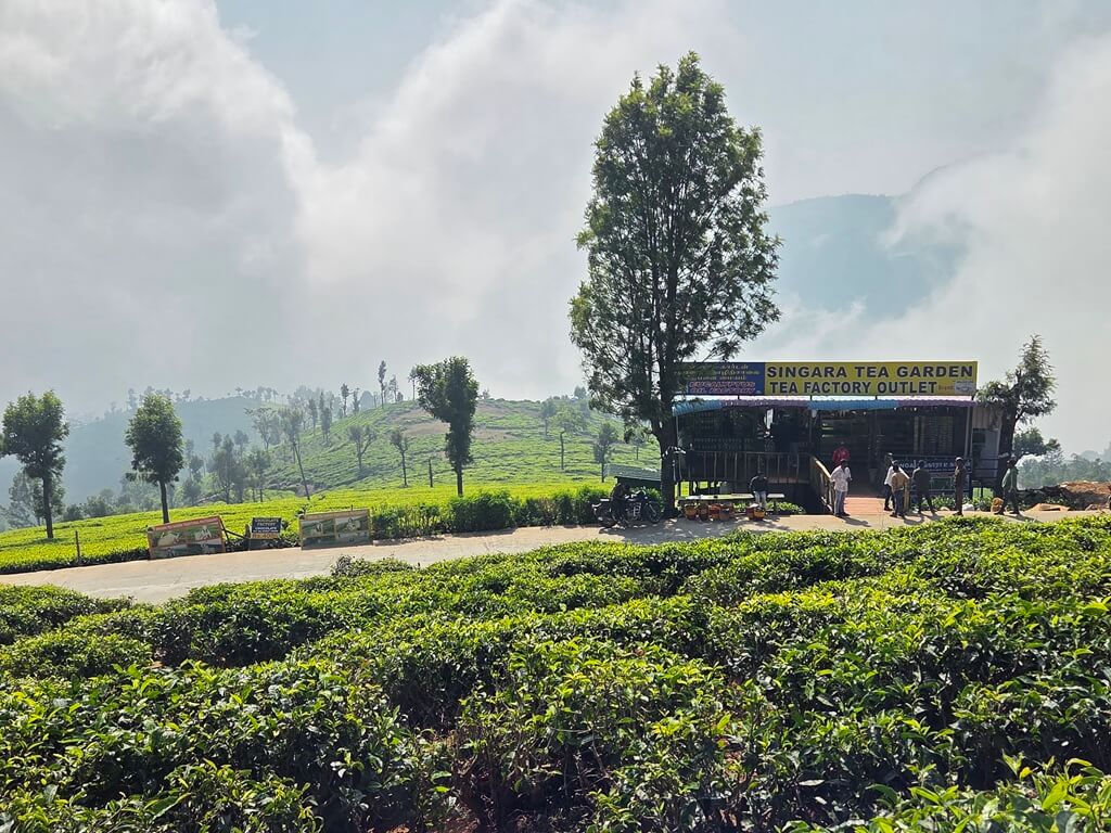 Overal langs de weg in de Nilgiris kun je thee kopen