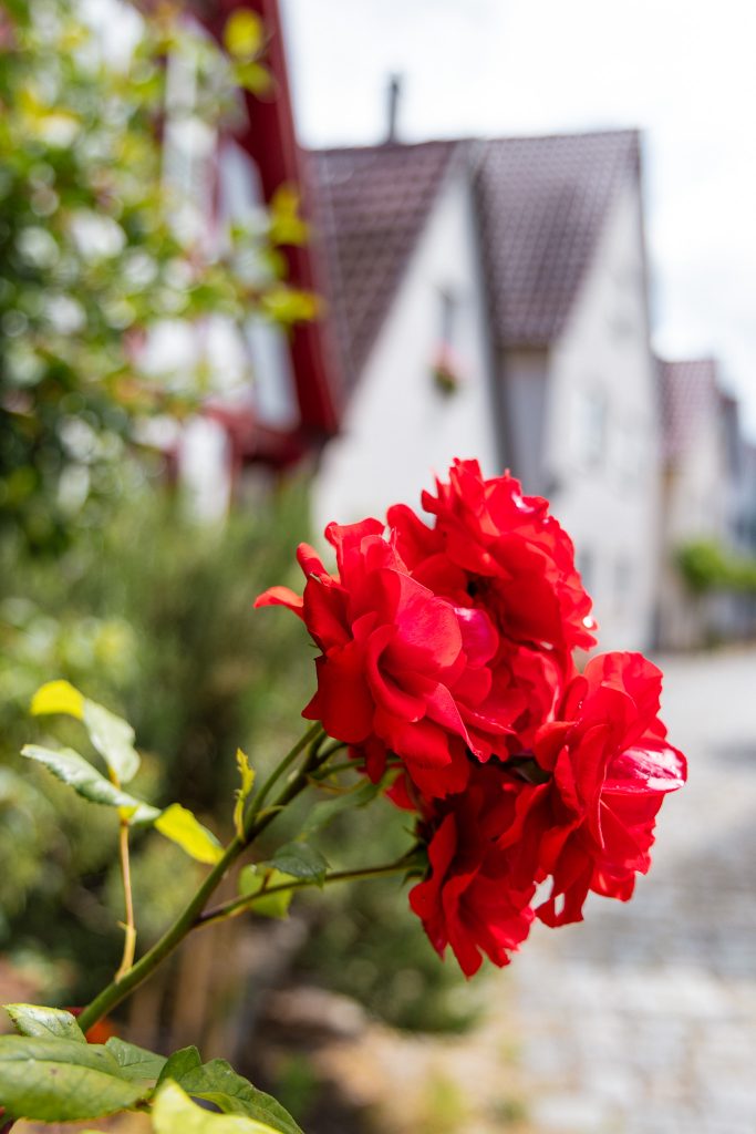 De fotogenieke Holdergassen
