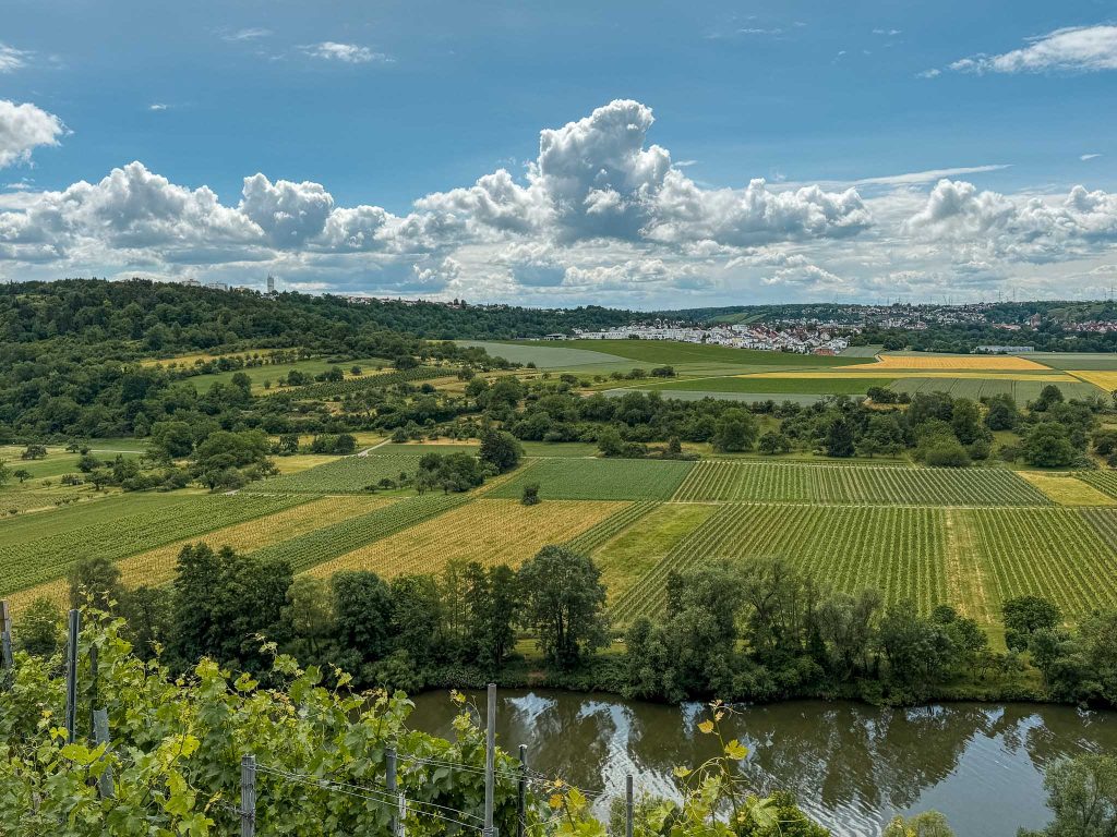 Uitzicht op het Neckardal