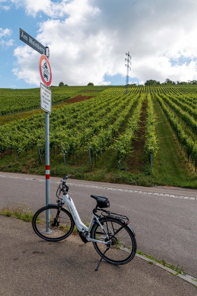 Op de fiets over de Neckar Radweg