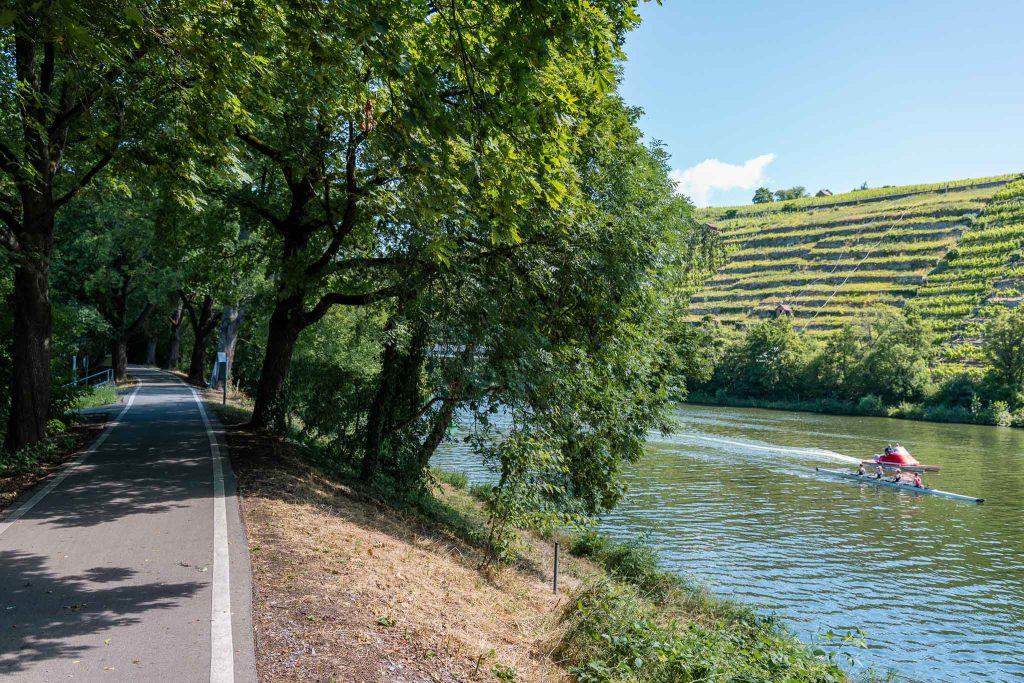 Fietspad langs de Neckar