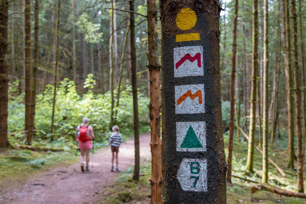 Hike Mullerthal Trail opwarmronde Beaufort