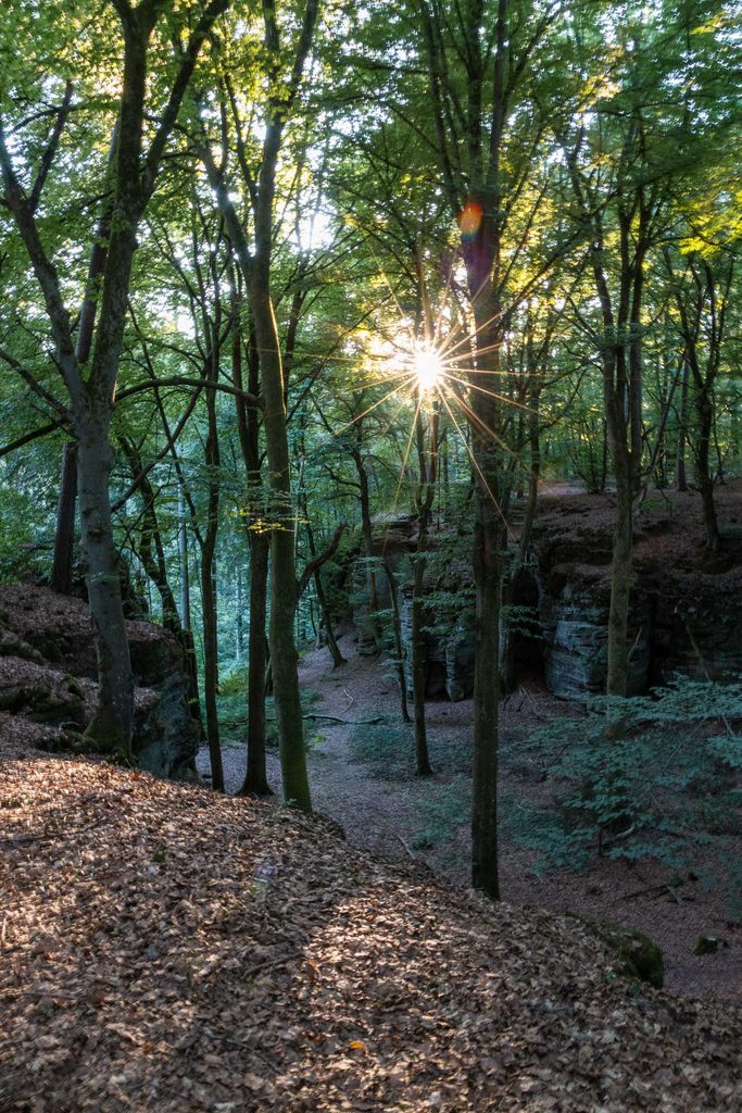 Hike Mullerthal Trail opwarmronde Beaufort