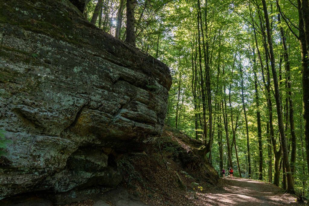 Mullerthal Trail hike Beaufort - Berdorf Hike Tribe
