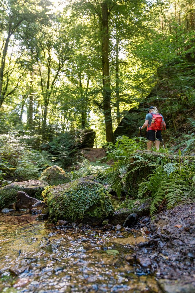 Mullerthal Trail hike Beaufort - Berdorf Hike Tribe