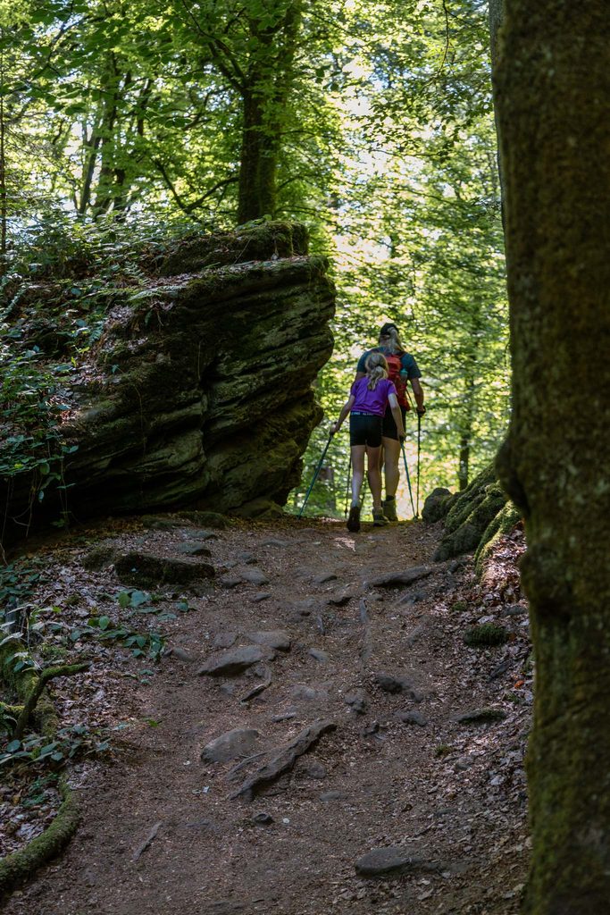 Mullerthal Trail hike Beaufort - Berdorf Hike Tribe