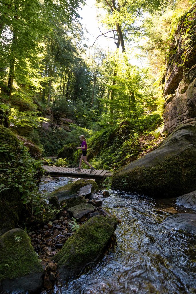 Mullerthal Trail hike Beaufort - Berdorf Hike Tribe