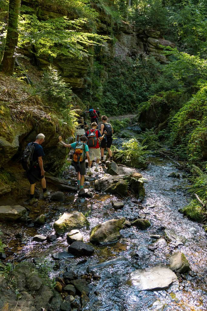 Mullerthal Trail hike Beaufort - Berdorf Hike Tribe