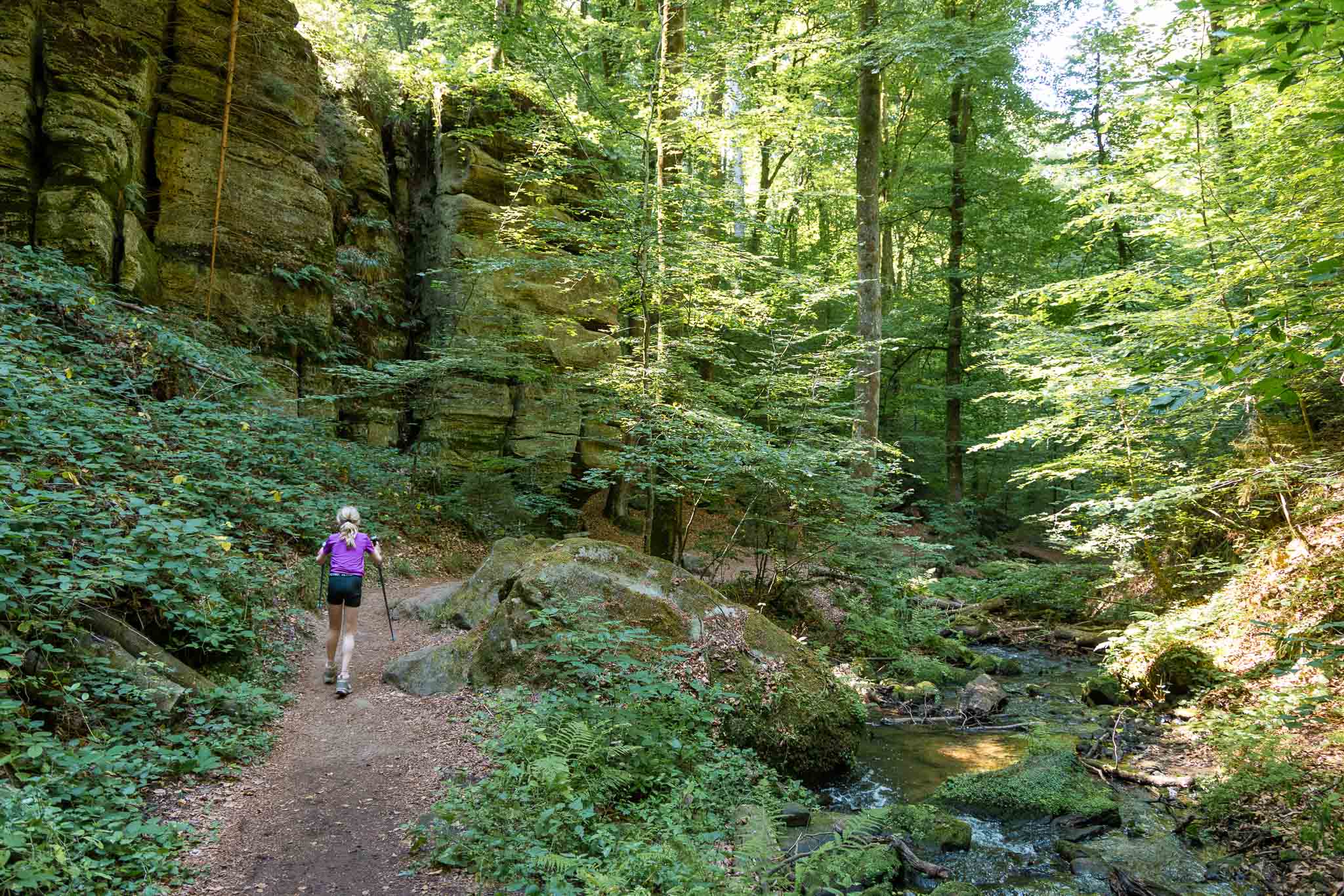 Hiken in de Mullerthal Trail met Hike Tribe