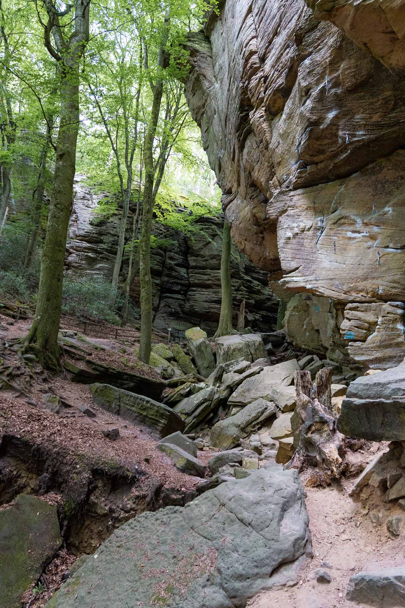 Hike Mullerthal Trail rondom Berdorf