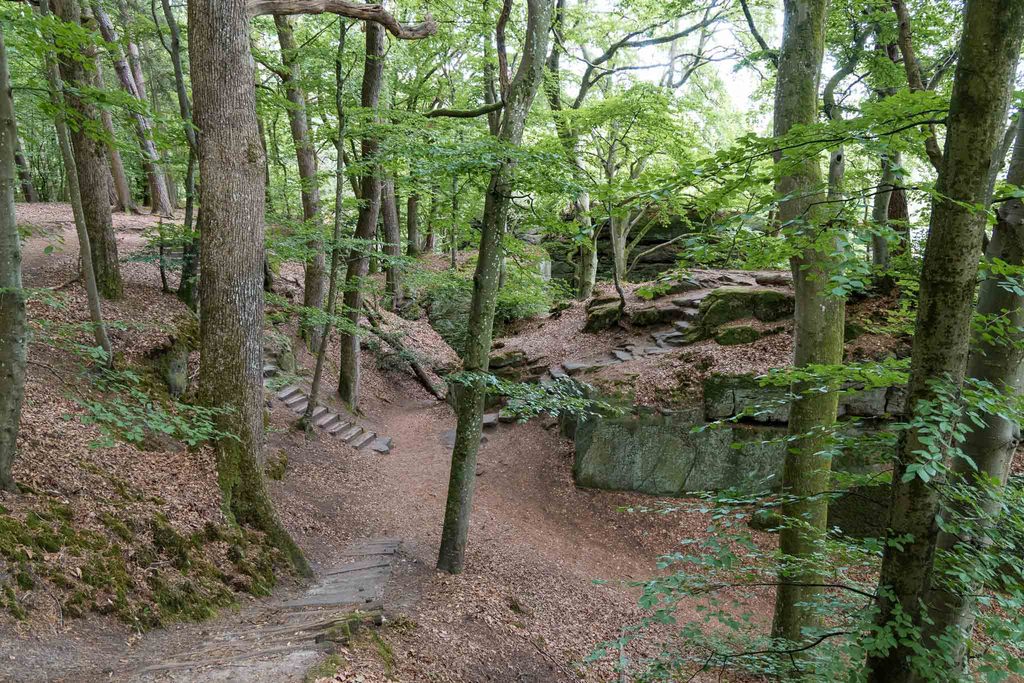 Hike Mullerthal Trail rondom Berdorf