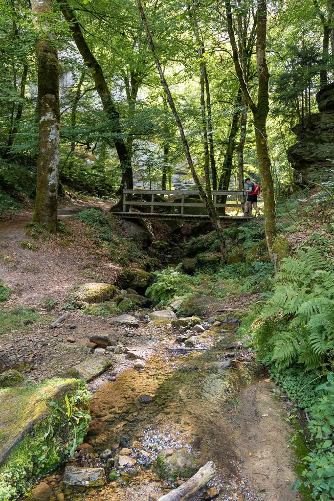 Mullerthal Trail hike Berdorf naar Echternach