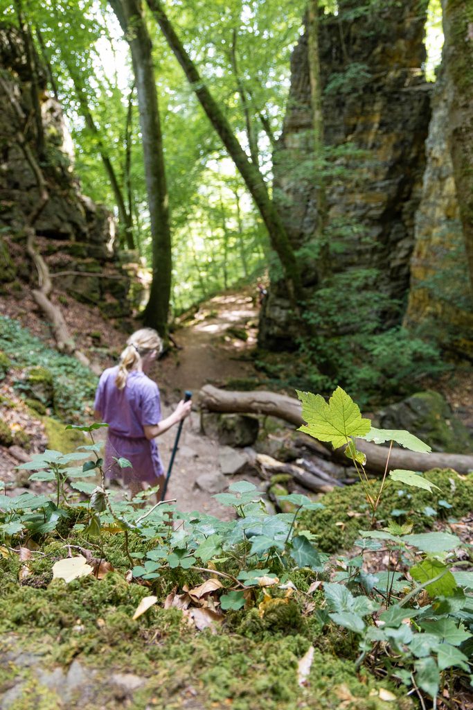 Mullerthal Trail hike Berdorf naar Echternach