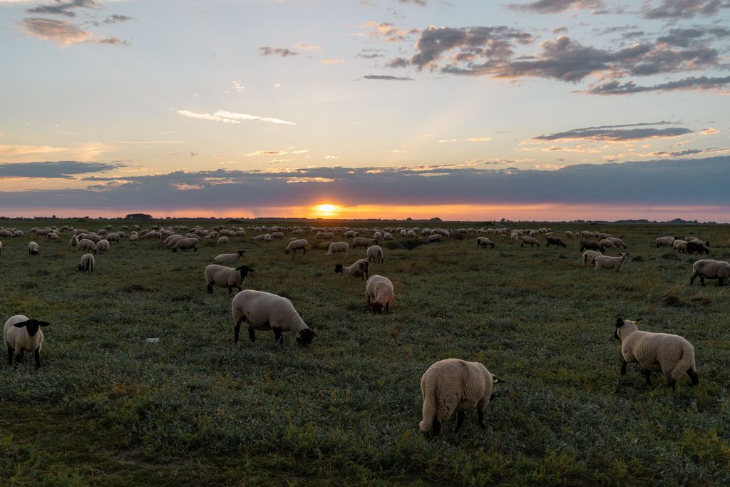Zonsondergang boven de baai van Somme
