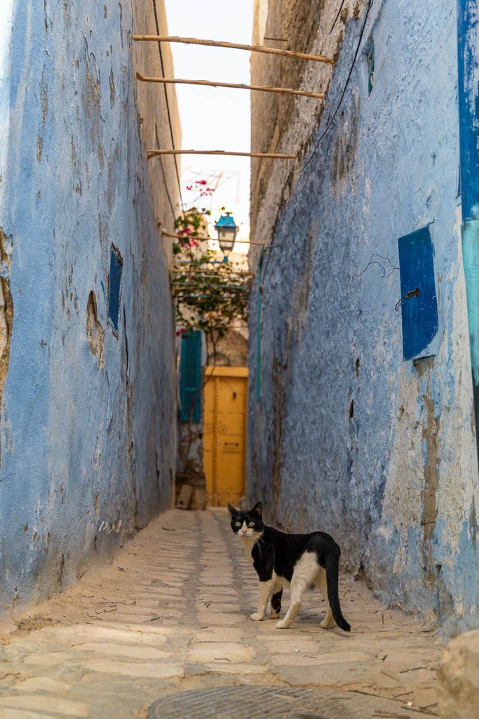 Dwalen door de medina van Kairouan