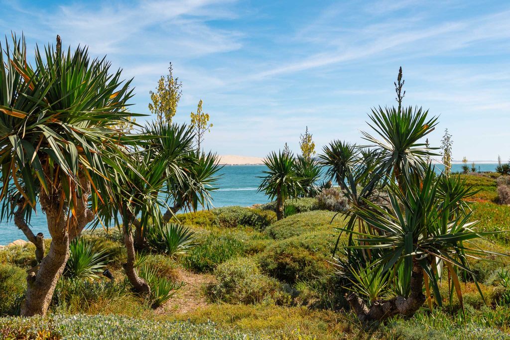 Cap Ferret oogt tropisch