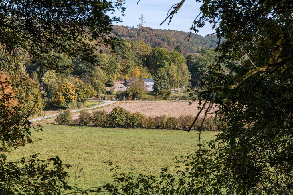 Uitzicht tijdens groene wandeling Durbuy